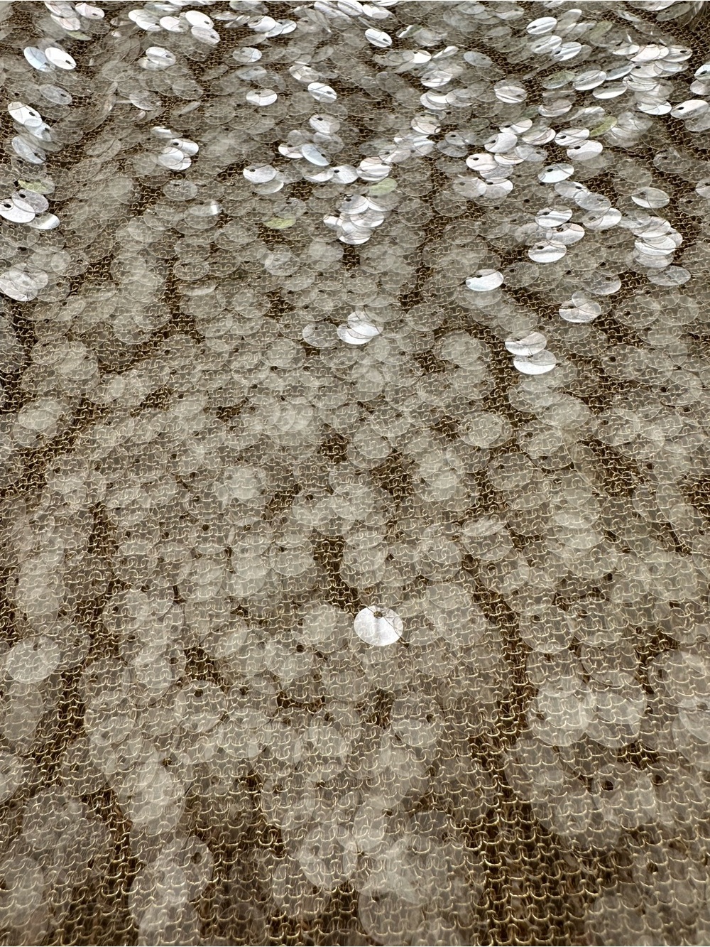Zara Gold and Silver Sequin Top